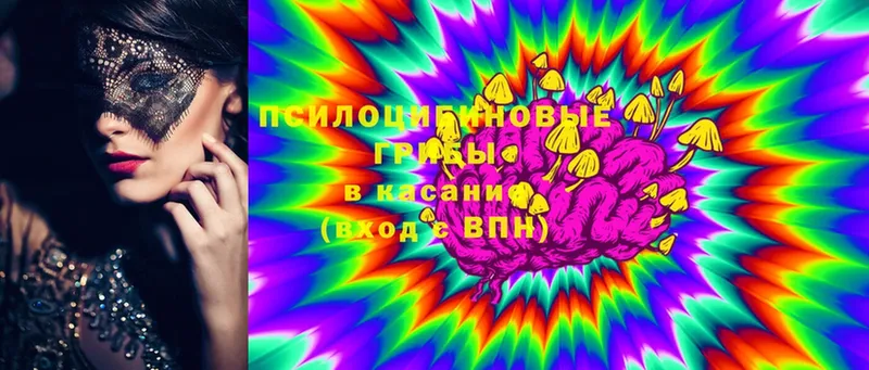 Галлюциногенные грибы Magic Shrooms  Гуково 